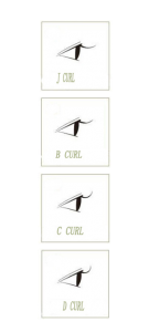 eyelash curl type