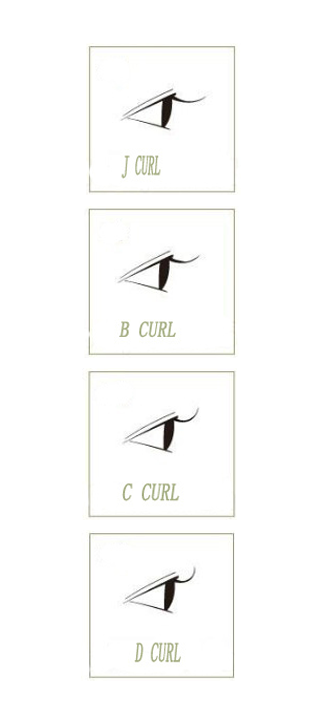 eyelash curl type 
